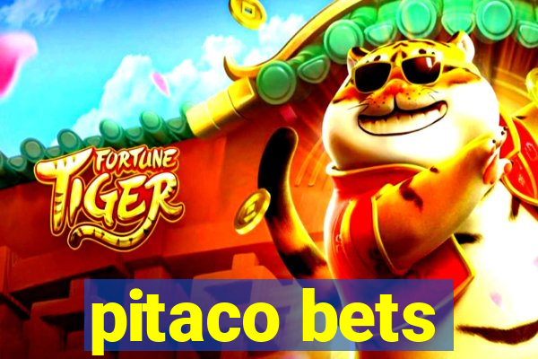 pitaco bets